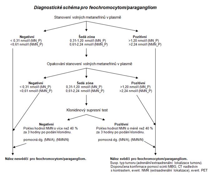 Diagnostické schéma pro feochromocytom_paragangliom